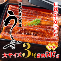 ランキング2位 うなぎ蒲焼 約169g×3本【大サイズ】